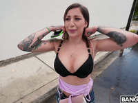 Anna Chambers - Bangbus