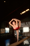 Karen Price, Playmate classique de Playboy