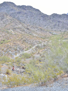 On The Adventure Trail