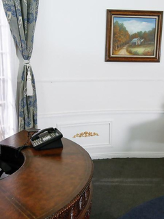 Submissive Secretary