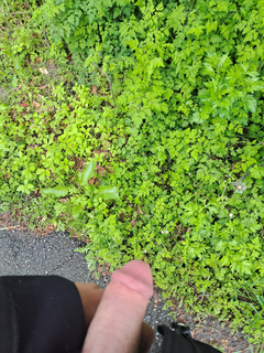 My Dick in a public forest
